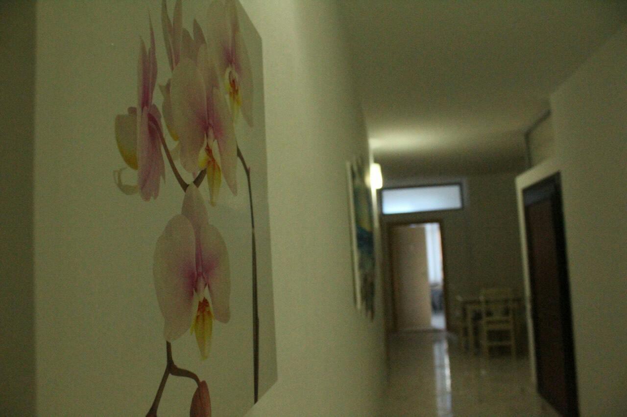Hotel Kaqaniku Shëngjin エクステリア 写真